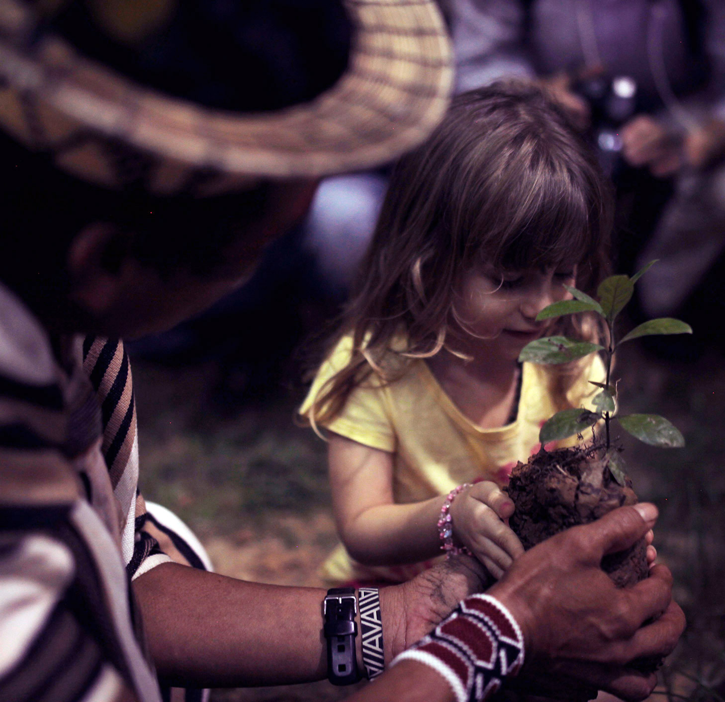 World Ayahuasca Conference 2019