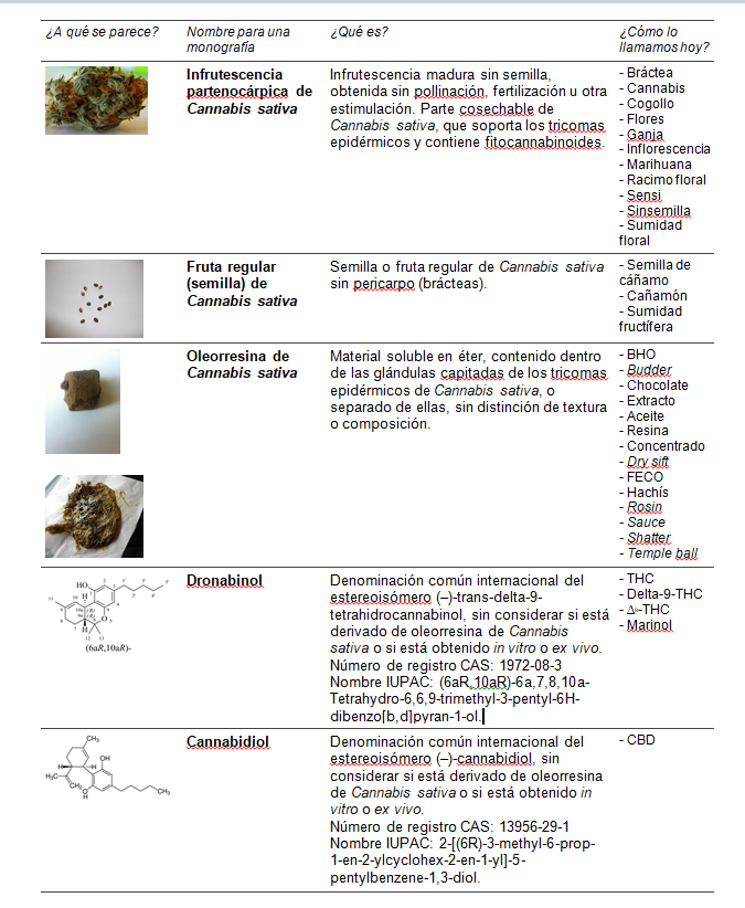 monografías cannábicas